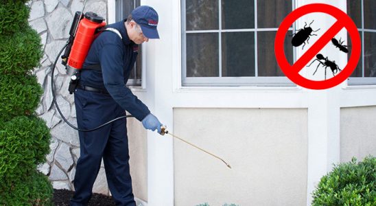 Atakum Fare İlaçlama böcek ilaçlama ve haşere kontrolü — ilaclama-tr.com